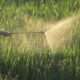 Insecticides