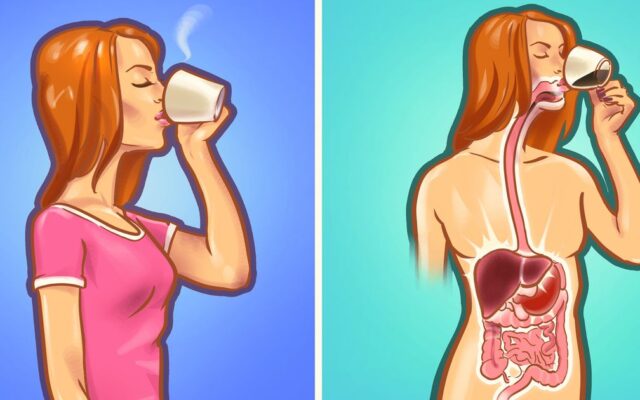 Empty Stomach