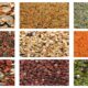 Different Types of Sand