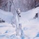 Mythological Horses