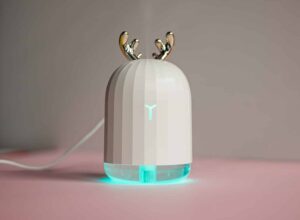 Cool Mist Vs Warm Mist Humidifier