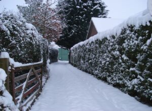 Wooden Driveway Gates