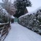 Wooden Driveway Gates