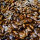 Can Cockroaches Live in Your Vagina